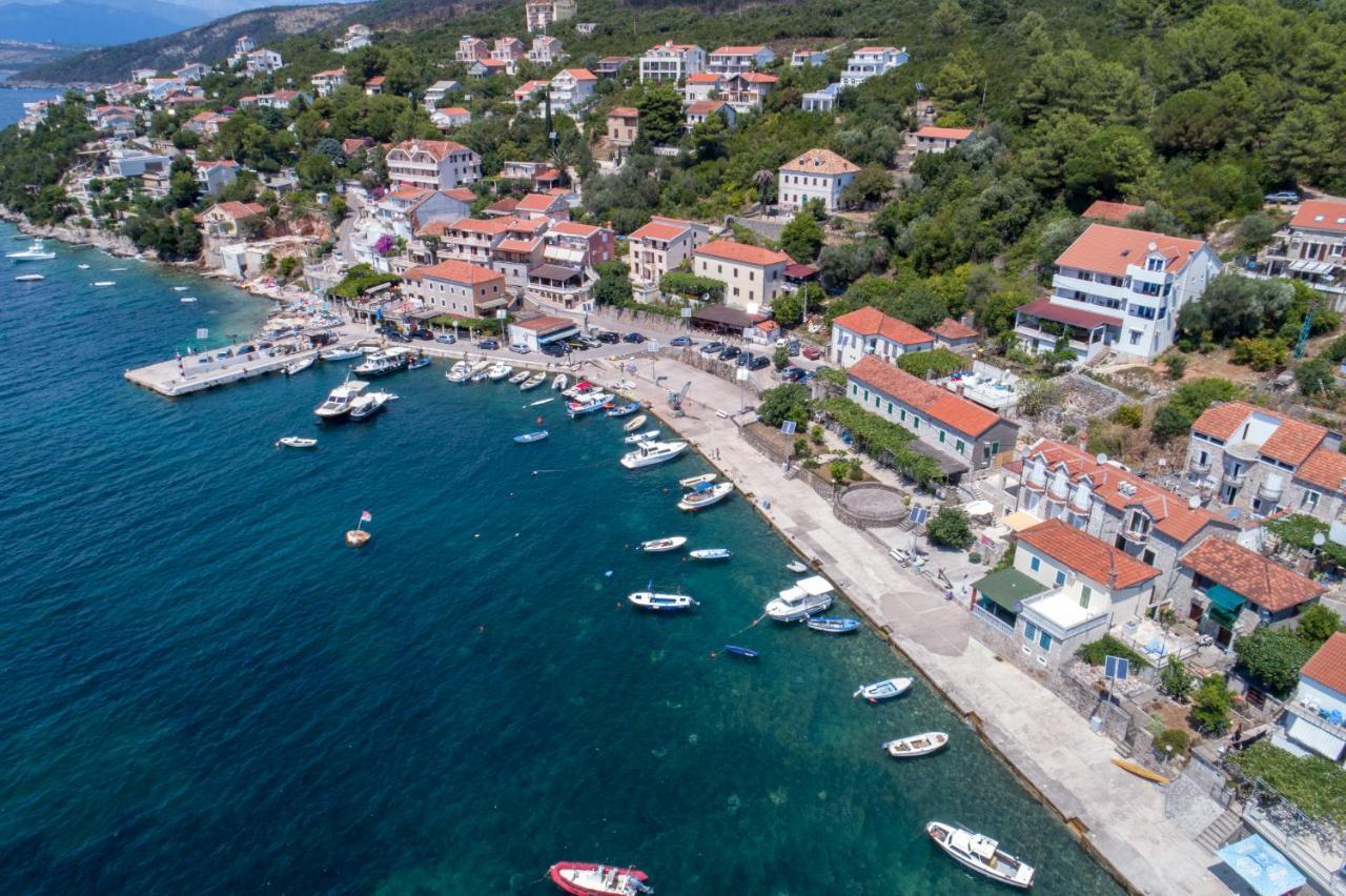 Vesna Tivat